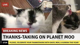 Happy ThanksTaking from Planet Moo!