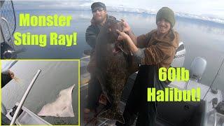 Awesome 60lb Halibut and Monster Ray! Halibut Fishing - Petersburg, Alaska! SEPTEMBER 2020