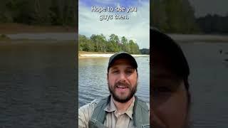 Ecosystem Explorers: Investigating Big Thicket Village Creek's Living and Non-Living Ecosystem