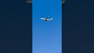 TUI | Boeing 737-800 Taking Off from Tenerife South [TFS] #shorts #shortsvideo #tenerife #plane