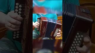 Когда б имел золотые горы ! 3 аккорда 300 песен как быстро научиться играть на гармони урок