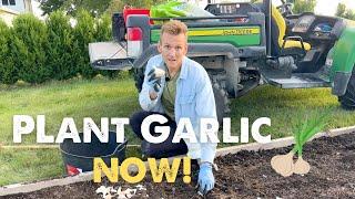 How to Plant GARLIC in the FALL   with Wyse Guide!