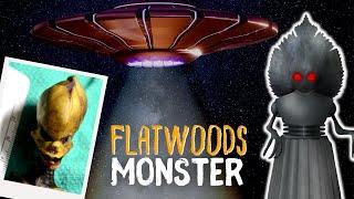 1952 FLATWOODS MONSTER of West Virginia | HOW IT HAPPENED