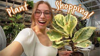 Five Plant Shops in One Day! Des Moines Houseplant Shop Hop 2022 | Rare Plant Shopping and Haul!