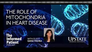 Microscopic 'traffic jams' studied for possible cardiac effects