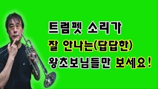 트럼펫 소리의 원리를 알면 날아갑니다 / 트트홀