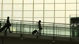 Airport Passenger Stock Footage 4K No Copyright