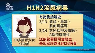 今年首例H1N2流感 疑豬傳人或環境接觸｜20230511 公視晚間新聞