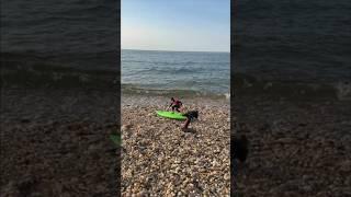 Kyosho Catch Surf - catching waves #kyosho #catchsurf #rcboat #surfboard #rc #rcworld #rcshorts