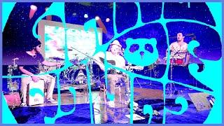 Land of Panda- In These Woods (acoustic) 10/8/22 Basement Transmissions