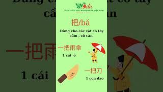 Lượng từ thường gặp trong tiếng Trung #duhocdailoan #hoctiengtrung #shorts