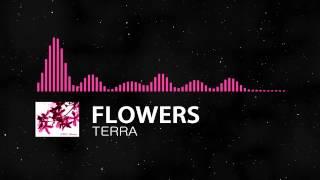 Flowers by TERRA