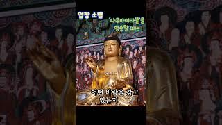 염불수행에서 경계해야 할 것 가운데 하나로‘나무아미타불’을 염송할 때크든 작든 세속의 바램을 가져서는 안된다고 말한다.#태허 스님#염불#나무아미타불