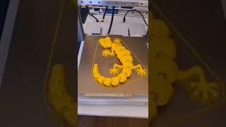 3D Printed Lizard