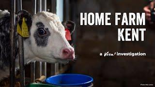 Home Farm - The True Cost of Dairy