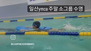 일산 ymca 주말 소그룹수영- 5세 자유형 발차기