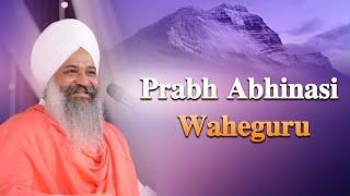 Prabh Abhinasi Waheguru Simran | Sant Trilochan Darshan Das Ji