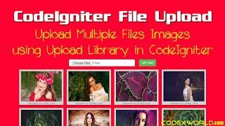 Upload Multiple Files and Images in CodeIgniter