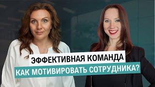 Как сформировать команду мечты? Подбор сотрудников | Творческий руководитель= творческие сотрудники?