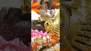 Panolibail Kallurti Devotional Song#shorts