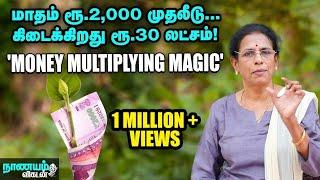 இந்த 'INVESTMENT SECRET' உங்களுக்கு தெரிஞ்சா... நீங்கதான் கோடீஸ்வரர்! - SUNDARI TALKS - EPI-03!