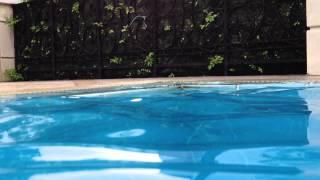 Dive into the Pool