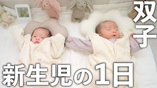 【新生児】ふたごの赤ちゃんの一日