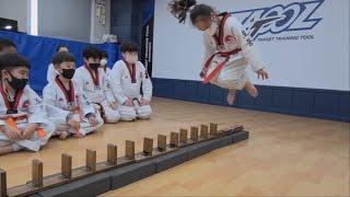 TATOOL 태권도 도미노 교구 점프 훈련 TAEKWONDO