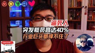 每周都有企业出问题：裁员高达40%，互联网企业巨头也撑不住了！