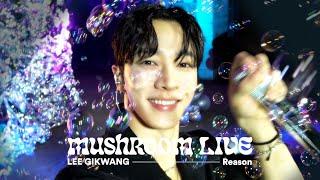 MUSHROOM LIVE S07 이기광 LEE GIKWANG - 이유(Reason)