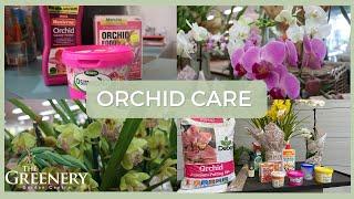 Orchid Care: Varieties and How to Grow | The Greenery Garden & Home