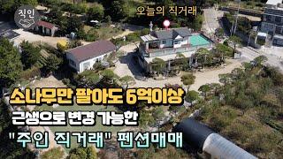 펜션에 심어져 있는 소나무만6억이상, 양주 일영유원지에 일영계곡을 단독으로 사용할수 있는 펜션매매