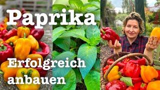 #75  ️ Paprika- und Chili-Anzucht leicht gemacht ️ Meine Geheimnisse für Top-Erträge