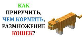 Как приручить кошку в майнкрафт? Чем кормить кошку в майнкрафте?  Как размножать кошек в майнкрафт?