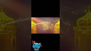【꽁머니 TOP7】 에볼루션은 【칼리벳】스포츠 고액은 여기!