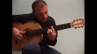 PIRATES OF THE CARIBBEAN - Flavio Sala, guitar