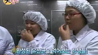 대한민국 중소기업의 힘