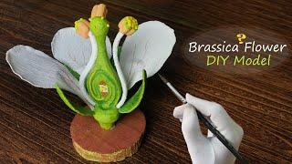 Making Brassica Flower Model | 3D carving Art