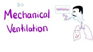 Mechanical Ventilation - Most COMPREHENSIVE Explanation! 