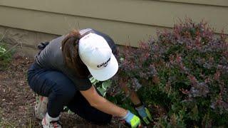 Annual Day Of Giving Back To Those In the Surrounding Rockford Community