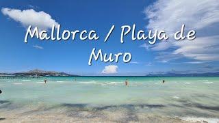 Mallorca / Playa de Muro der schönste Strand Mallorcas 4K UHD - Flug am morgen mit der DJI mini 2