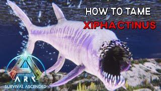 Ark Survival Ascended | How To Tame XIPHACTINUS (ARK Addition)