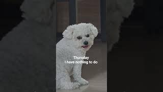 Nothing to do #monday #tuesday #wednesday #thursday #friday #saturday #sunday #nothing