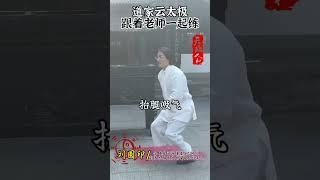 道家云太极跟着老师一起练道家养生 刘圆印