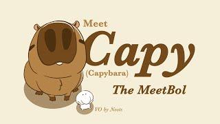 Meet the MeetBolz | Capy the Capybara