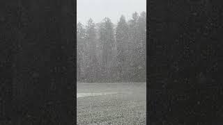 Brace yourself, Winter is here, the first snow.. #shorts #hd