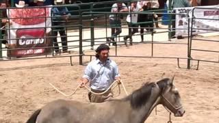 Chico Ramirez Encuentro San Luis 4 de 6