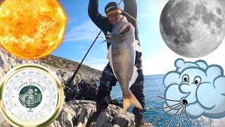 FISHING: The MOON, the TIDES, the WIND & the BAROMETRIC PRESSURE. Find the PERFECT FISHING DAY!