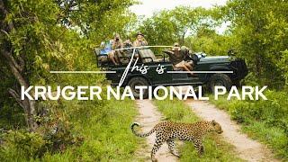 Kruger National Park, South Africa | Safari365