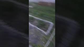 Голь на выдумки хитра